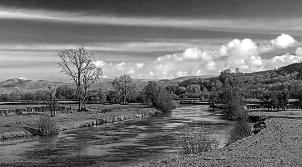 Afon Tywi / River Tywi