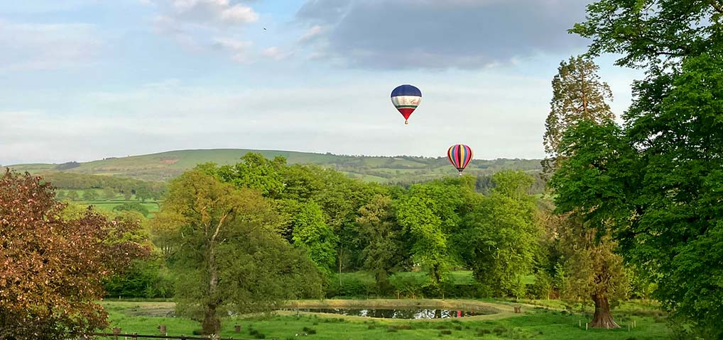 hot air ballons