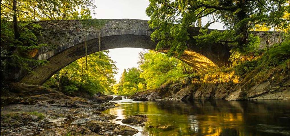 Dolauhirion bridge
